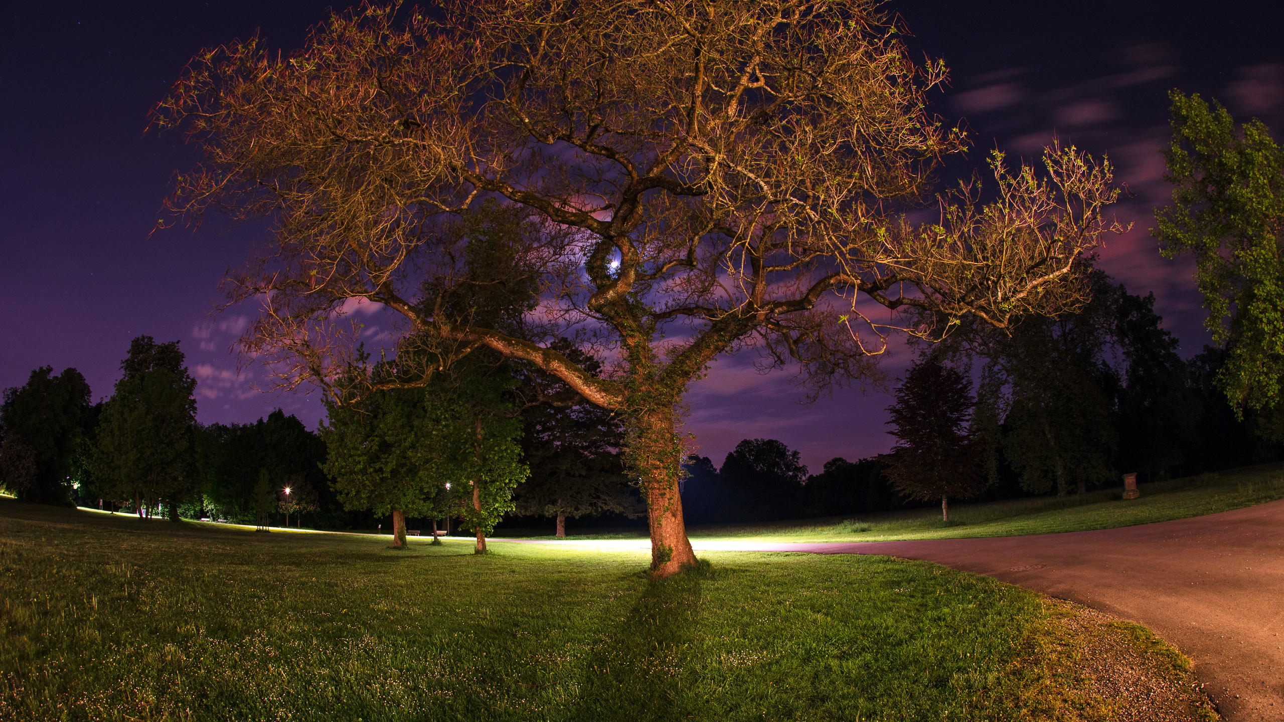 20220507235625 DP017486